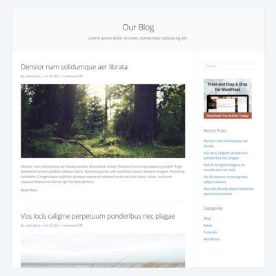 standard-blog-template