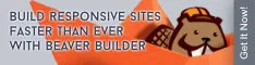 WP Beaver Builder advertisement