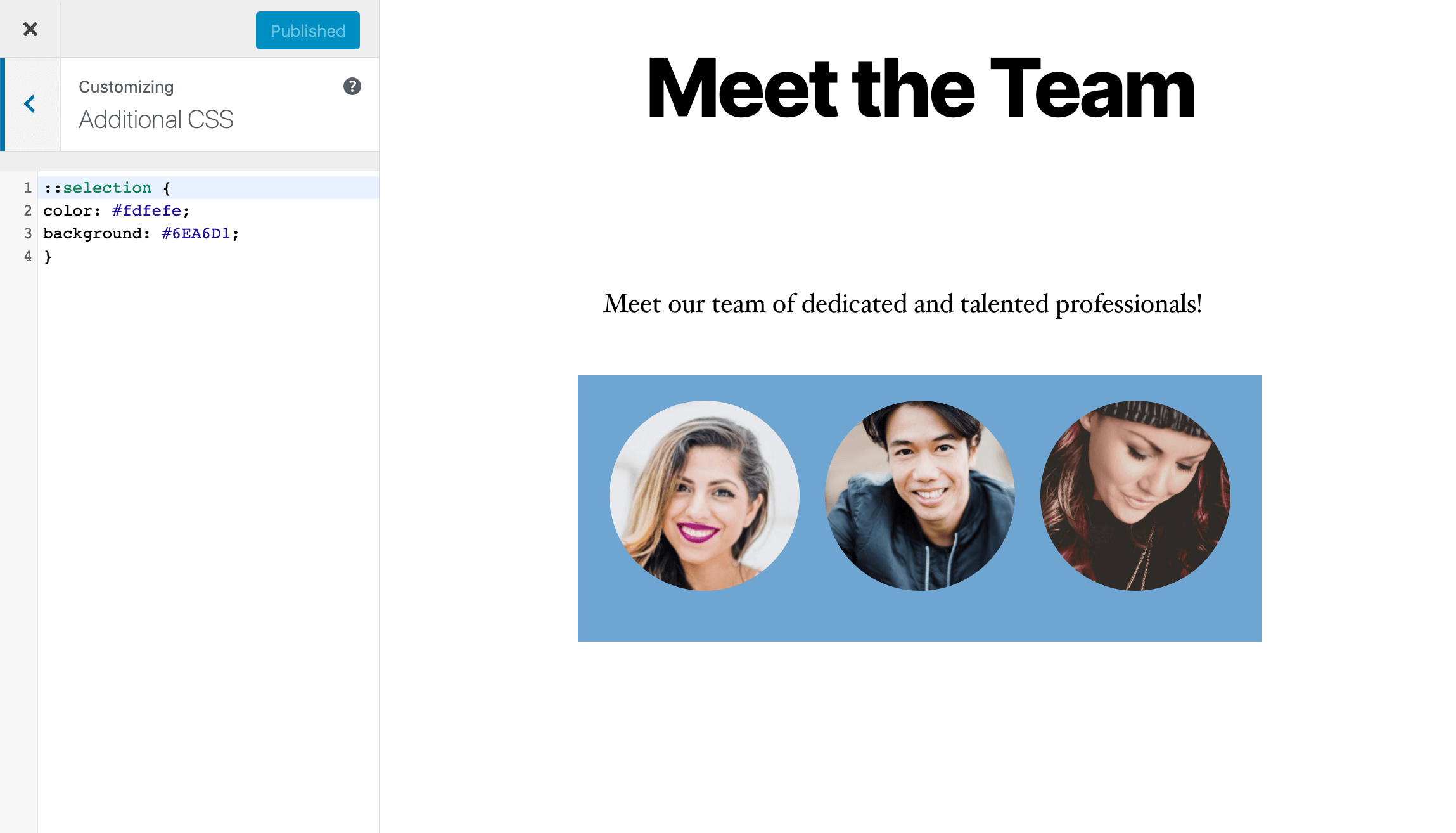 Adding custom CSS in the Customizer.