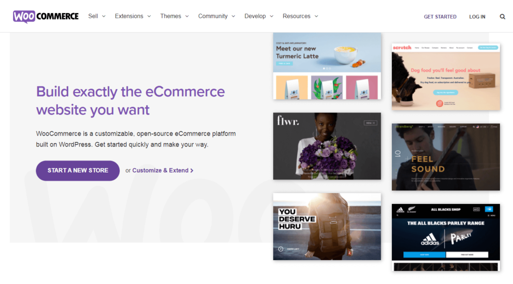 The WooCommerce plugin.