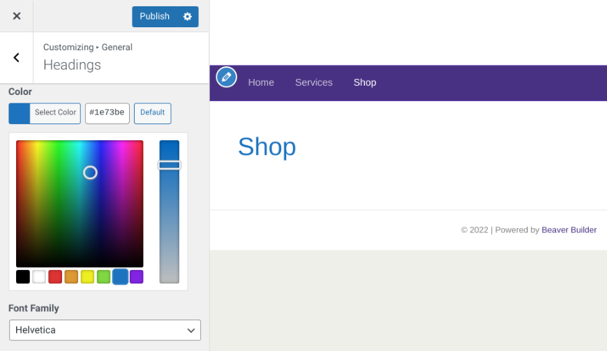The Color Picker in the WordPress Customizer.