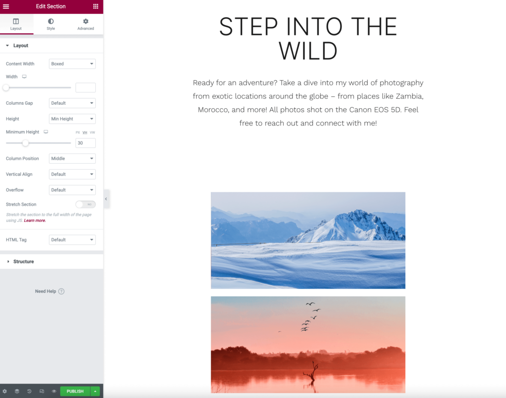 Elementor layout settings