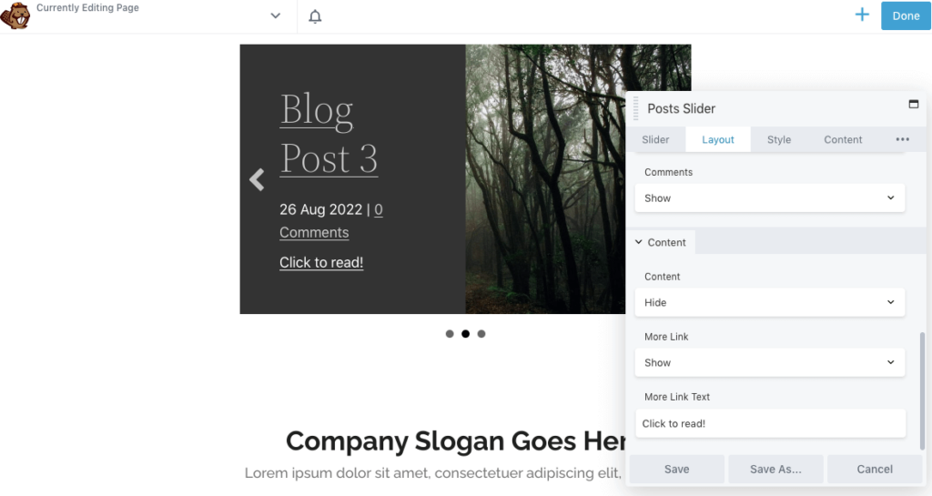 Posts slider link button