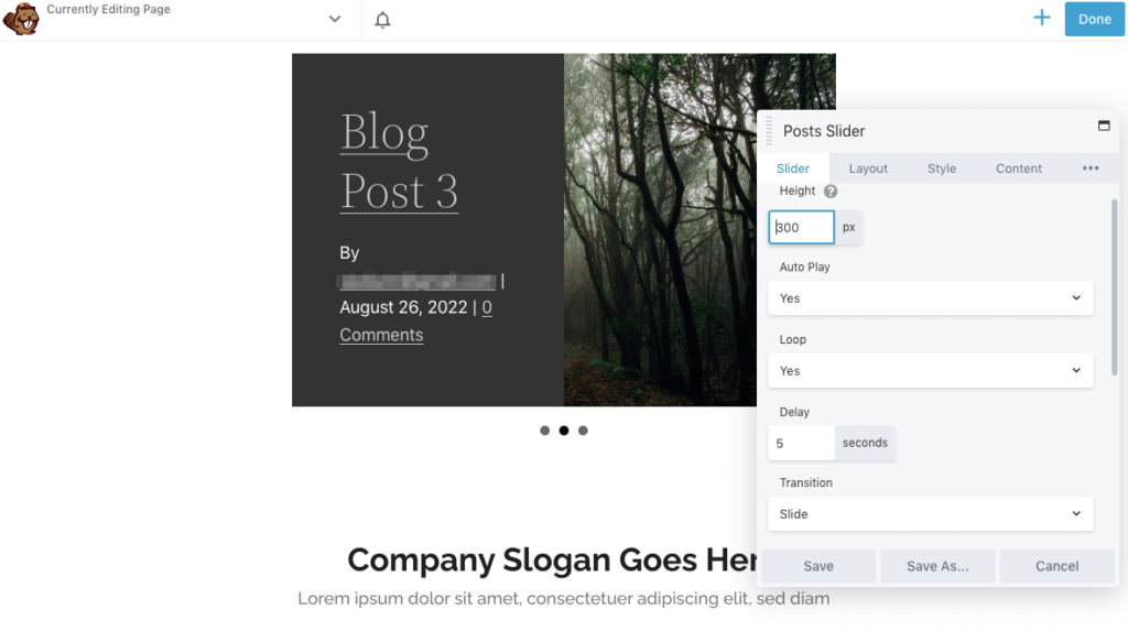 Posts slider appearance