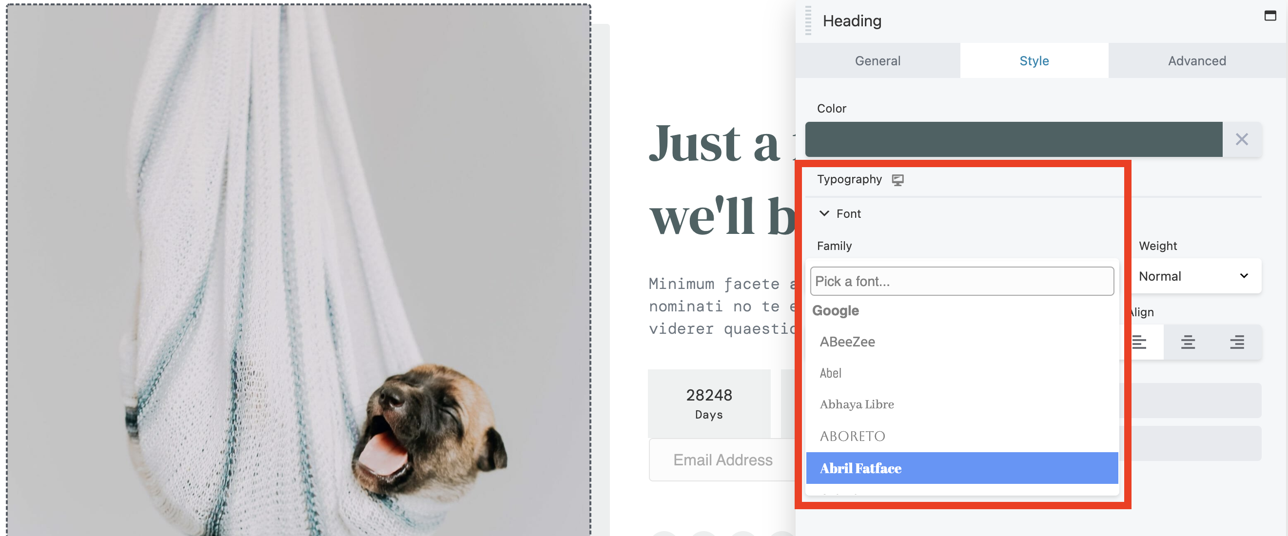 Beaver Builder 2.6 Google Fonts Preview