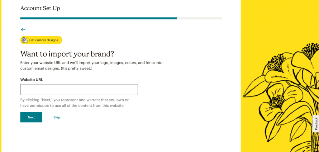 Mailchimp import brand