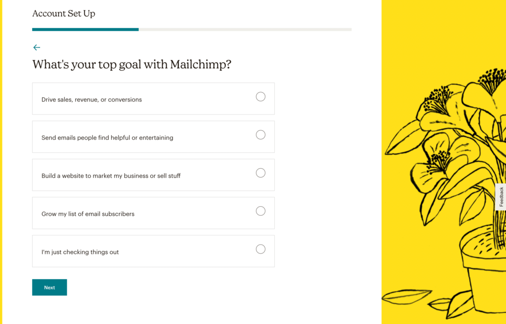 Mailchimp goals