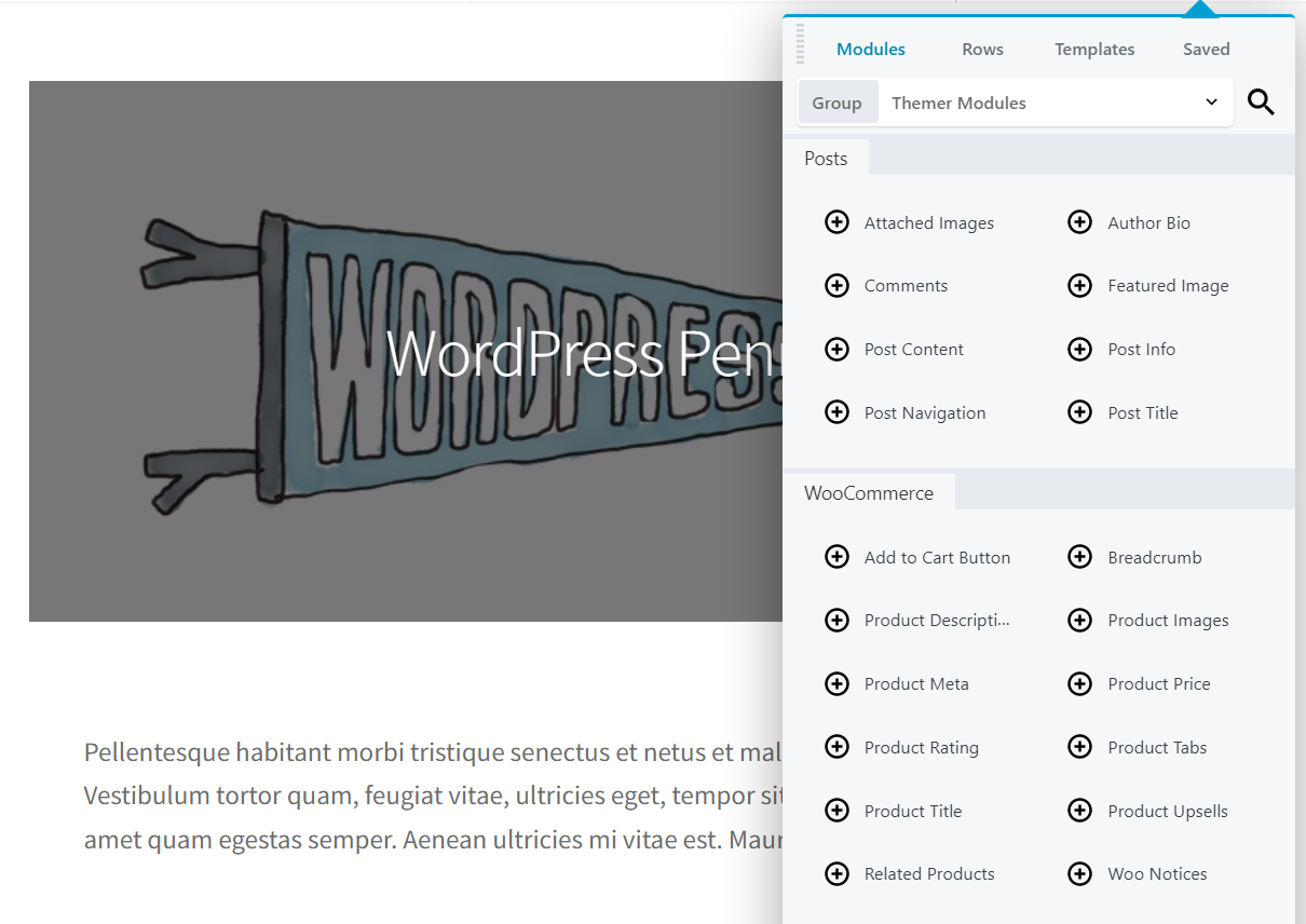 Beaver Themer WooCommerce modules