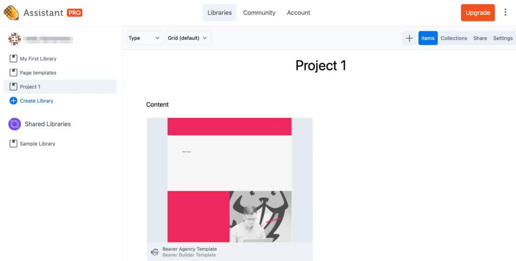 View exported template in Assistant Pro library