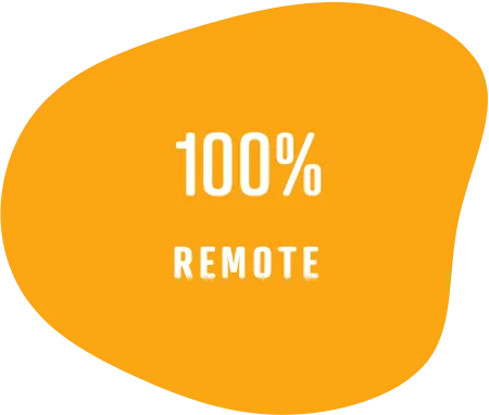 100% Remote Team