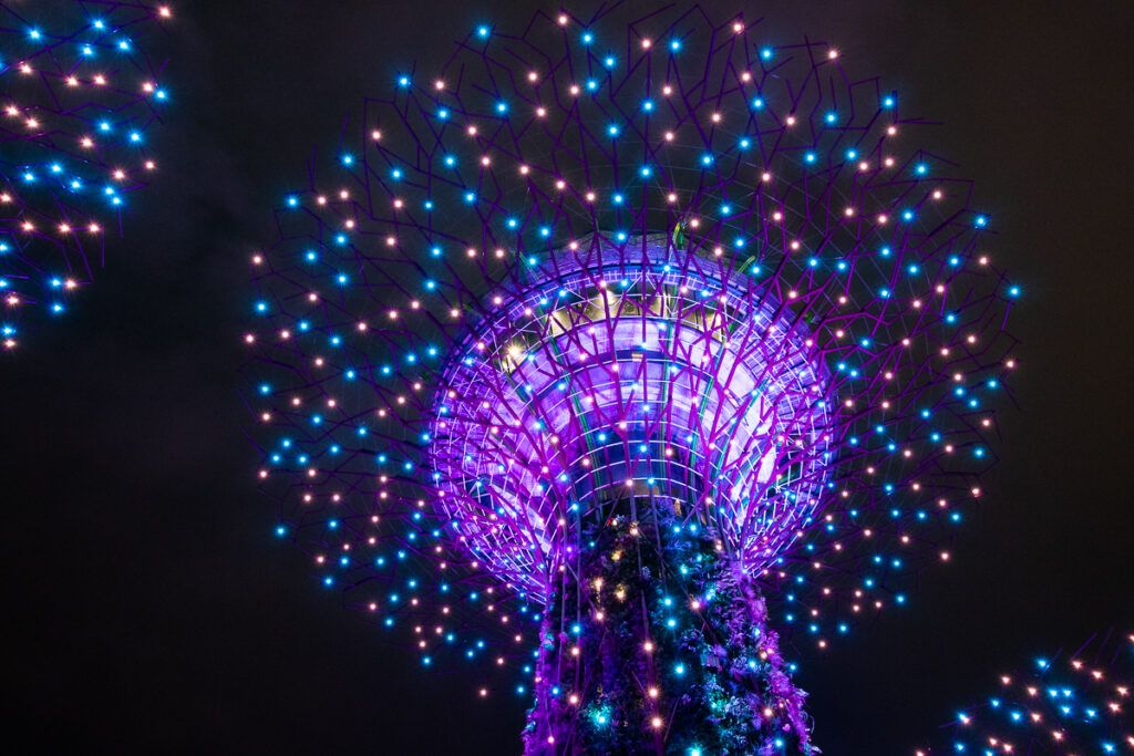 supertree in Singapore