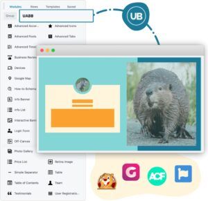 Beaver Builder Add-Ons & Integrations