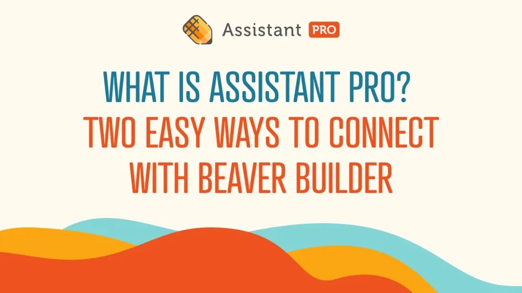 What Is Assistant Pro?