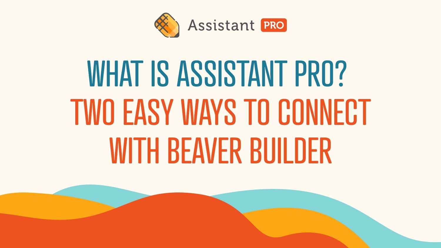 What Is Assistant Pro?
